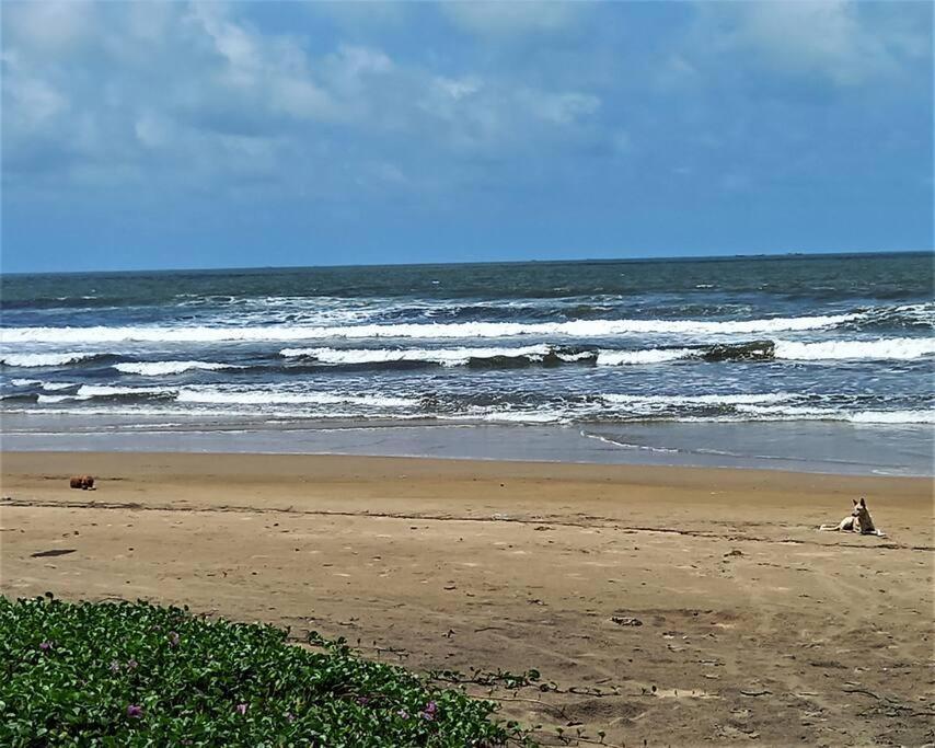Cockerel Homestay - Traditional Beach Village - Goa Канакона Екстериор снимка