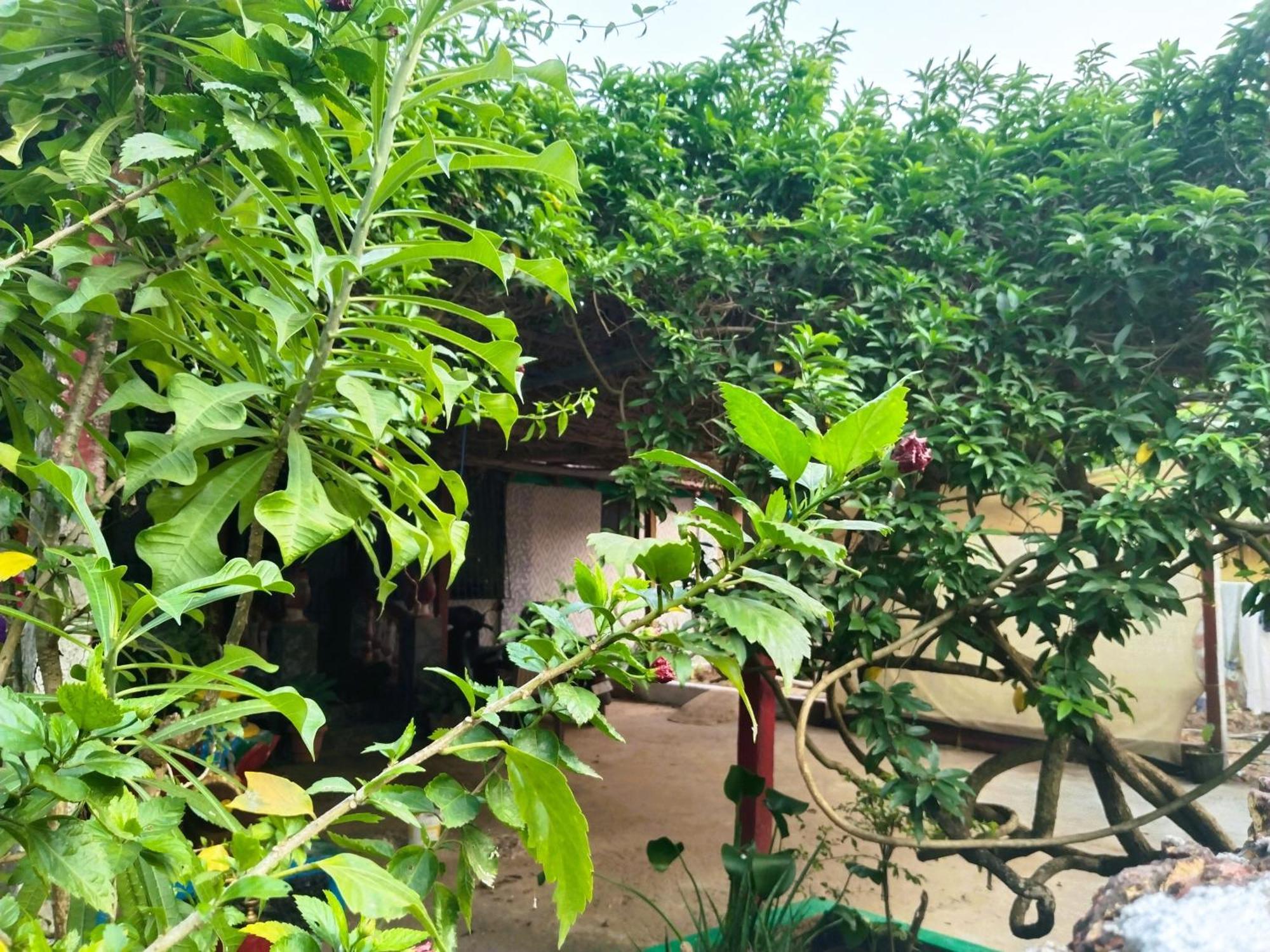 Cockerel Homestay - Traditional Beach Village - Goa Канакона Екстериор снимка